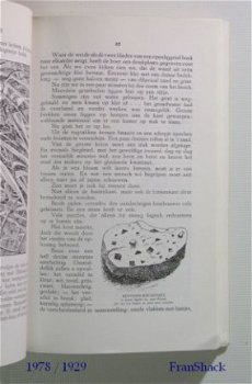 [1978] Ons Dinkelland 3 e druk 1926, Bernink, VtBvN - 4