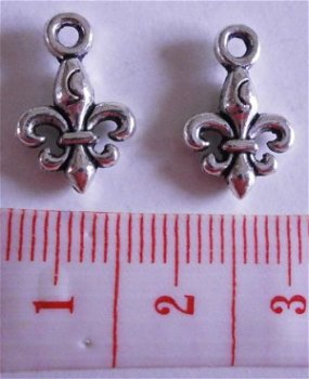 Natuur : Bedel fleur de lis 16 x 10 mm. - 1