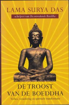 Lama Surya Das: De troost van de Boeddha