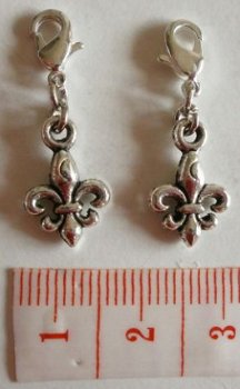 Natuur : Planten : Charm fleur de lis 16 x 10 mm. - 1