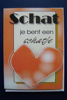 nr.13 Schat je bent een schatje - 1