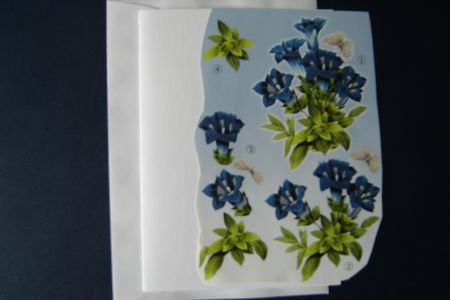 nr151 Doe het zelf setje 3d BLOEMEN - 1