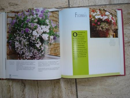 Hanging Baskets: Wim Oudshoorn.Beplantingsideeen en verzorgi - 1