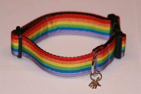 Leuke regenboog halsband - 1