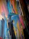 Enorm kleurrijk abstrakt 130x140 - T.v. Amelsfoort - Tilburg - 1 - Thumbnail