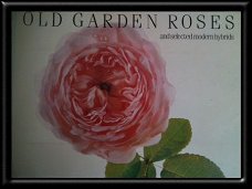 Old garden roses, Engels boek, Thames and Hudson,