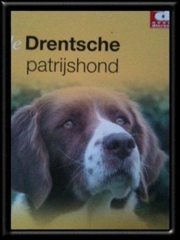 De Drentsche patrijshond, Over dieren - 1
