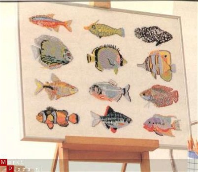 borduurpatroon 167 tropische vissenschilderij - 1