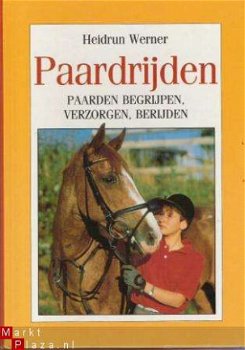 Paardrijden - 1