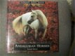 Andalusian Horses Tomas Micek Sunburst Horses - 1 - Thumbnail