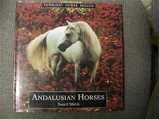 Andalusian Horses Tomas Micek Sunburst Horses