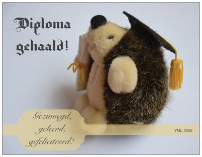 Felicitatiekaart YML 2026F: Diploma gehaald! - 1