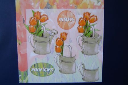 nr.250 knipvelletje gieter met tulpen oranje - 1