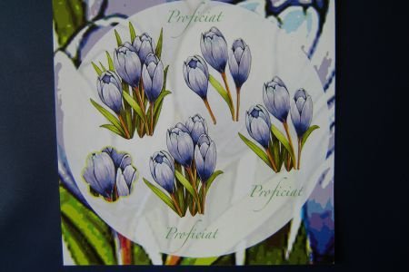 nr.269 knipvelletje paars / lila bloemen - 1