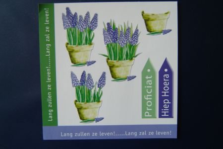 nr.274 knipvelletje blauwe druifjes - 1