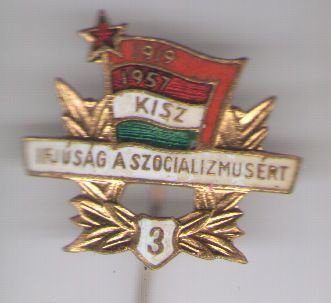 emaille broche 1919/1957 ( D_011 ) - 1
