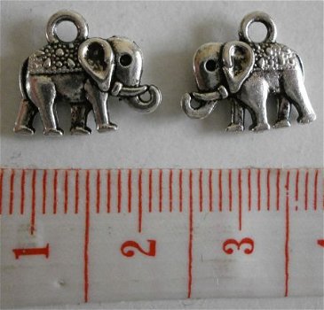 Natuur : Dieren : Bedel olifant 14 x 12 mm. - 1