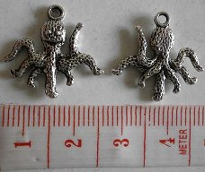 Natuur : Dieren : Bedel octopus 20 x 19 mm.