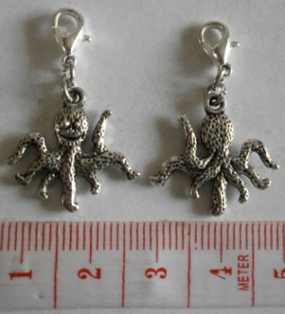 Natuur : Dieren : Charm octopus 20 x 19 mm. - 1