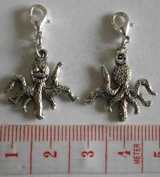 Natuur : Dieren : Charm octopus 20 x 19 mm.