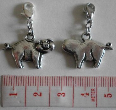 Natuur : Dieren : Charm varken 22 x 16 mm. - 1