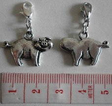 Natuur : Dieren : Charm varken 22 x 16 mm.