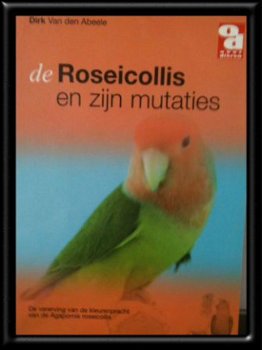 De Roseicollis en zijn mutaties, Dirk Van Den Abeele, - 1