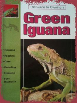 Green lguana, John Coborn - 1