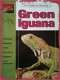 Green lguana, John Coborn - 1 - Thumbnail