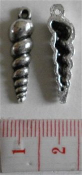 Diversen : Strand - zee : Bedel penhoornschelp 25 x 07 mm. - 1