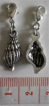 Diversen : Zee - strand : Charm hoornschelpje 20 x 10 mm. - 1