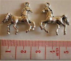 Sport : Paardrijden : Bedel paard 22 x 22 mm. !