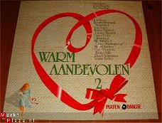 Warm Aanbevolen 2 LP