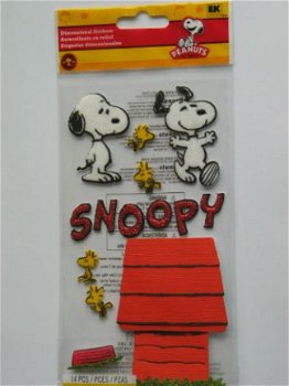 Snoopy, Woodstock & Snoopy house - 1