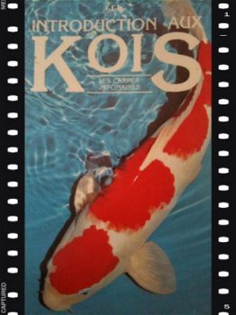 Introduction aux Kois (Frans boek) - 1