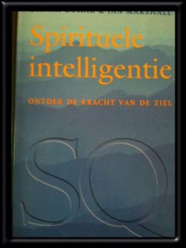 Spirituele intelligentie, Danah Zohar en Ian Marshal - 1