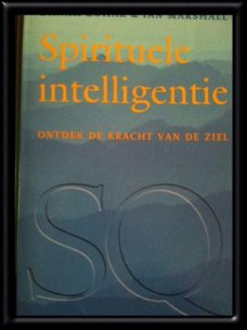 Spirituele intelligentie, Danah Zohar en Ian Marshal