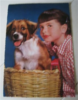 Kinderkaart hond in mand met meisje - 1