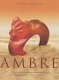 Boek : Ambre - Mémoire du temps - 1 - Thumbnail