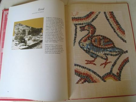 Het Mozaiek Handwerkboek - Afbeelding 3