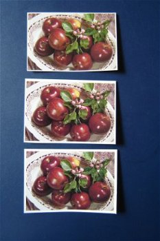 nr.139 3d knipplaatjes Appels op fruitschaal - 1