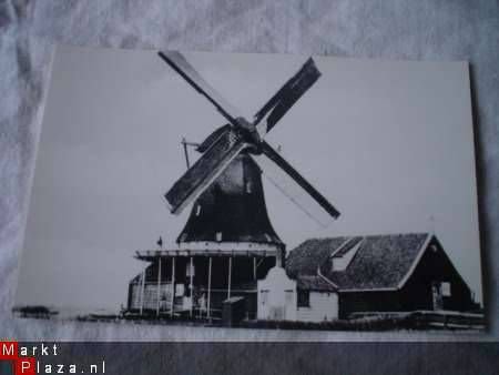 molen De jonge Wildeman Koog aan de zaan - 1