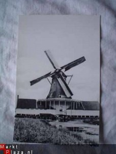 molen Elzenboom koog aan de zaan