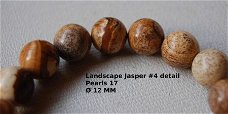 Landscape Jasper Jaspis bracelet elastisch Armband #4