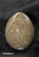 #1 Fossiel Koraal ei Fossil Coral egg - 1 - Thumbnail