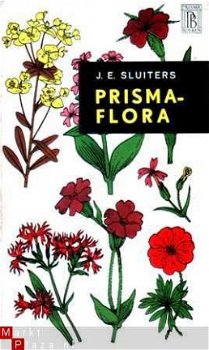 Prisma-flora - 1