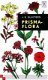 Prisma-flora - 1 - Thumbnail
