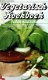 Vegetarisch kookboek - 1 - Thumbnail
