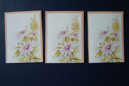 nr.165 setje Losse 3d knip plaatjes Bloemen - 1