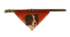 Halsband met zakdoekje Border Collie NU 50 %